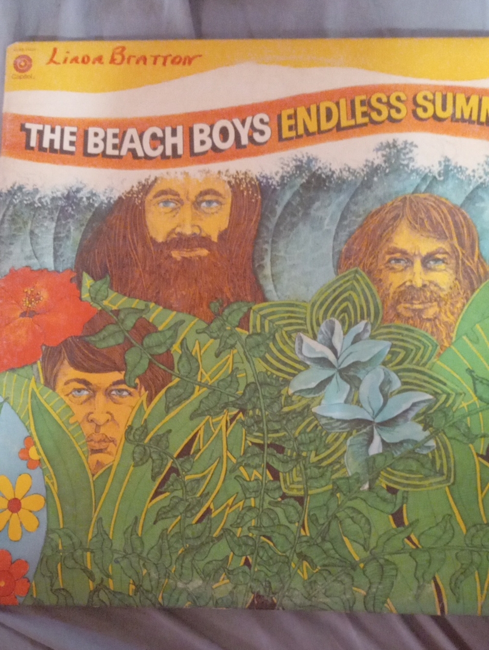 Endless Summer-Themed Decorative Record Cover in Green